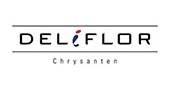 Flowersandcents interview with JD from Deliflor.