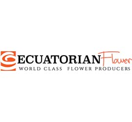 Interview with JP Tola of Ecuatorian flower a boutique rose grower.