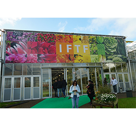 IFTF and FloraHolland 2021 review