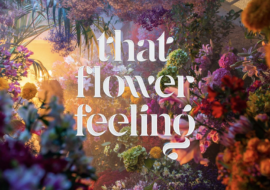 Cal Flowers introduces “That Flower Feeling”