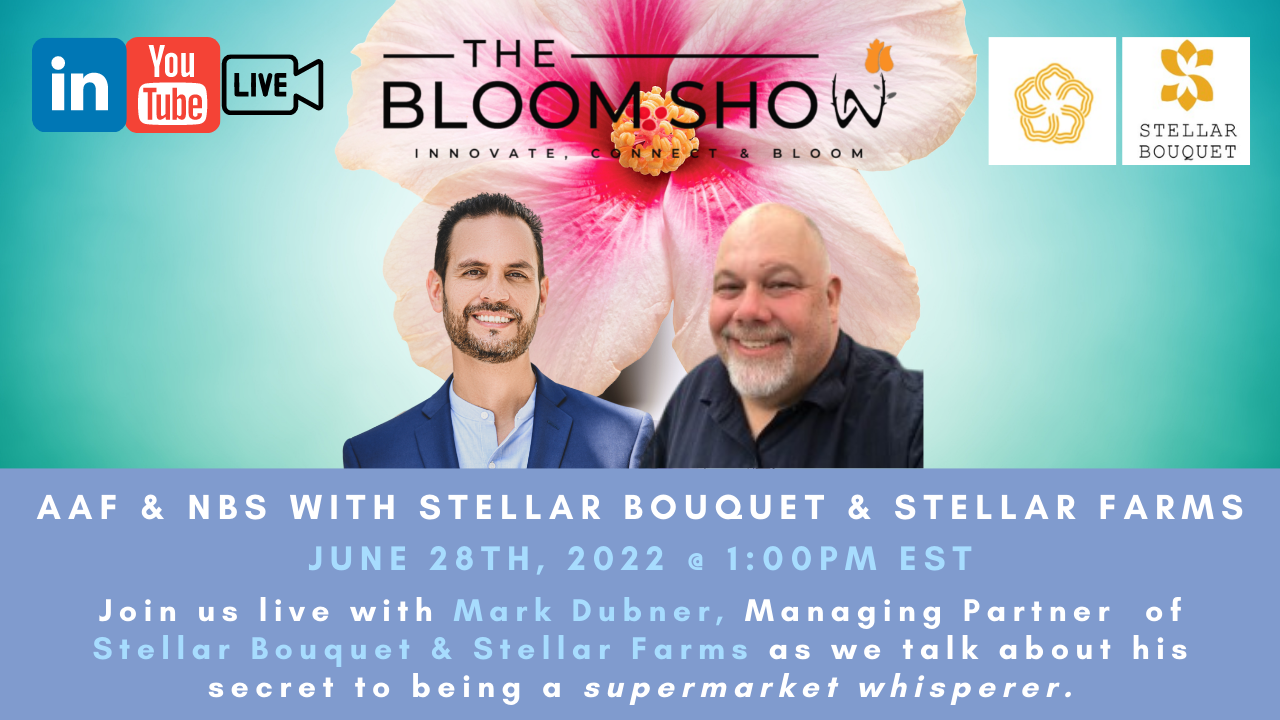 LI format - The Bloom Show with Mark Dubner