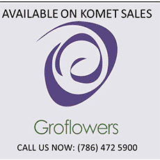  Groflowers-2021-banner