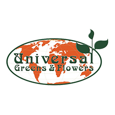  Universale Greens and Flowers